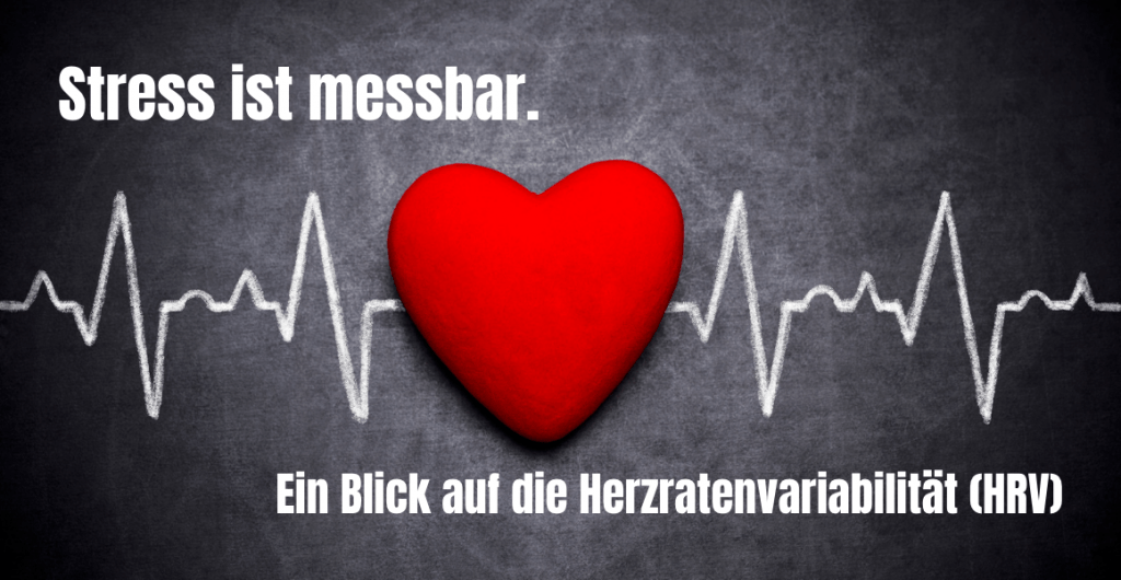 Stress ist messbar. Ein Blick auf die Herzratenvariabilität (HRV).