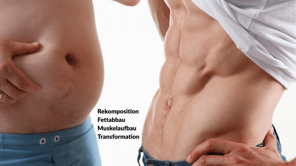 Rekomposition-Fettabbau-Muskelaufbau-Transformation