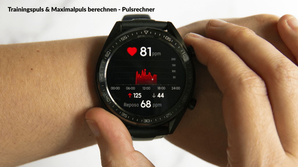 Pulsrechner - Herzfrequenzrechner - Trainingspuls & Maximalpuls berechnen